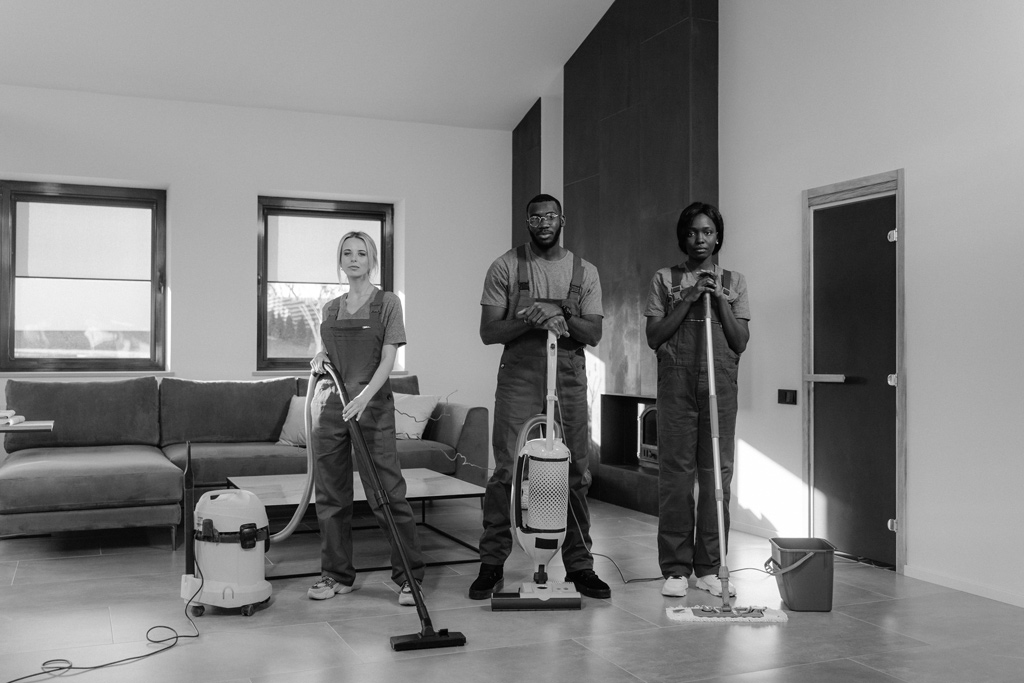 Professional Cleaners